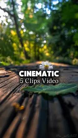5 CLIPS VIDEO 