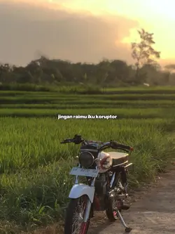 koruptor 