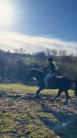 LoveSlowmoHorse