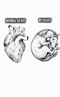 my heart 