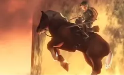 •<{Zelink TP edit}>•