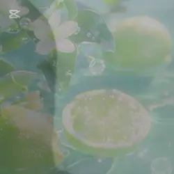 그림자 손댄스 3탄