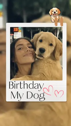 Birthday my dog