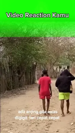 awas ada anjing gila