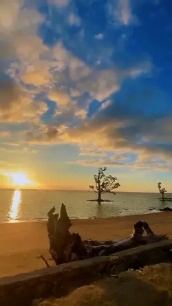 1 video aesthetic hd