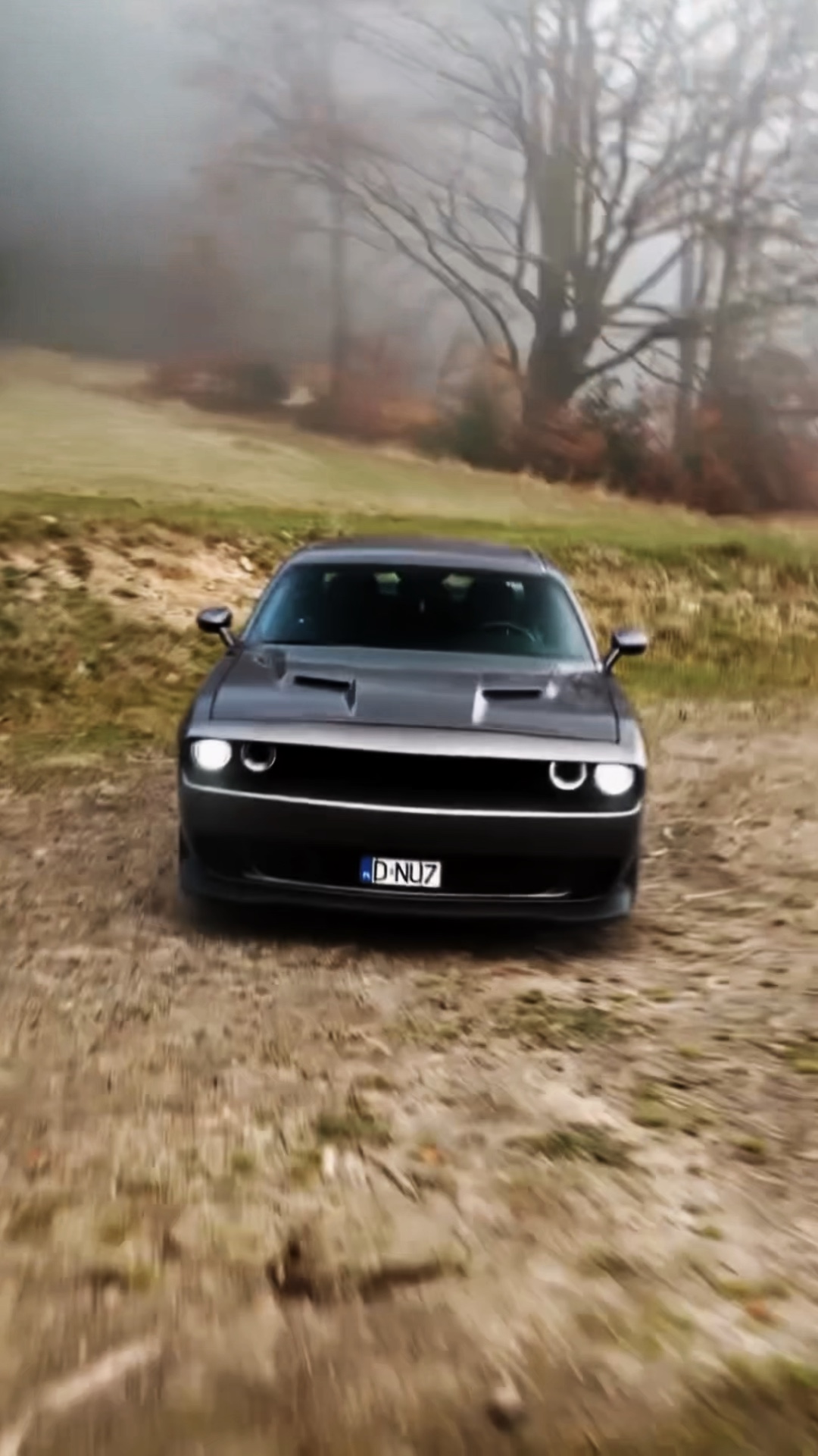 Dodge CAR