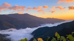 Việt nam 🇻🇳