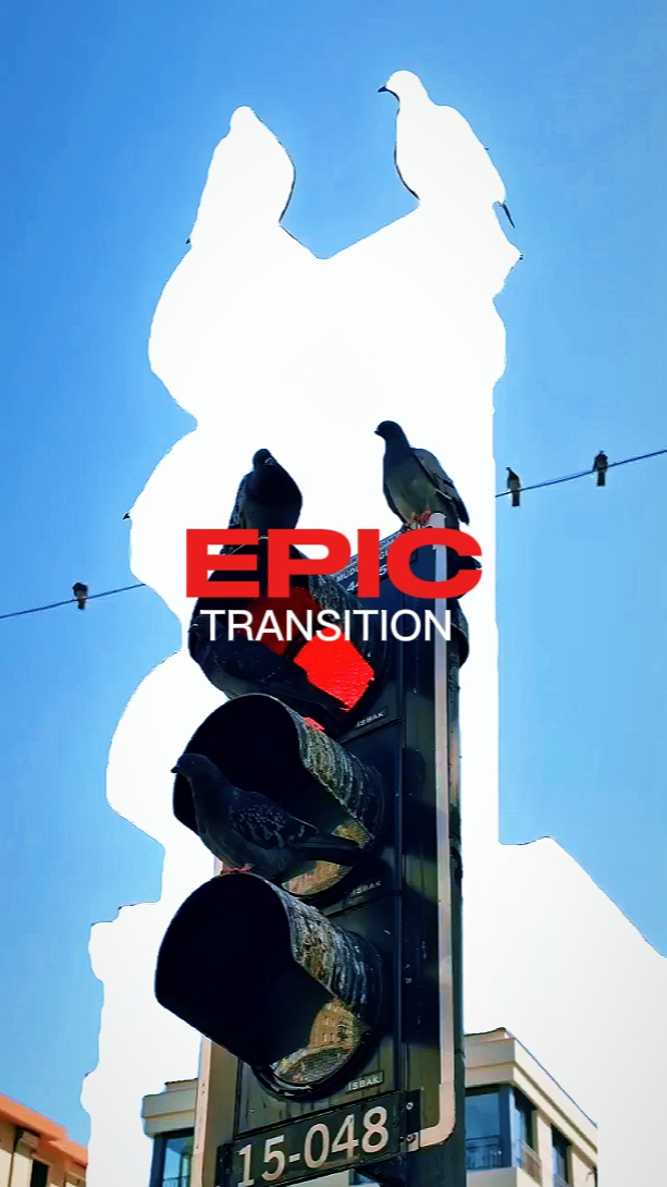 EPIC TRANSITION 4K 