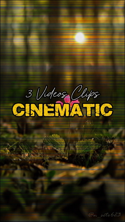 3 Clips Vidéos