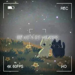 웨이백홈 오르골 ver