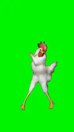 DANCING CHICKEN