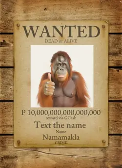 WaNtEd PoStEr