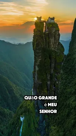 Status 