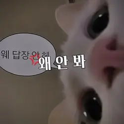 너 내 카톡 왜 안 봐