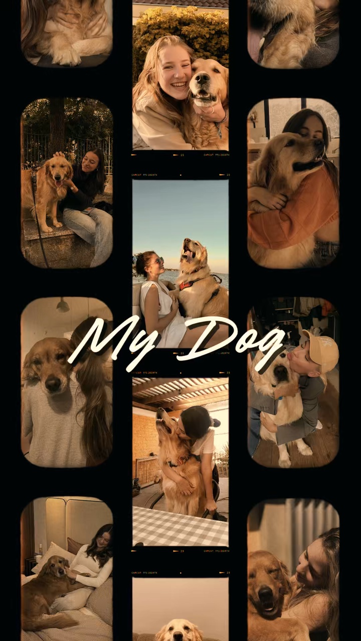 Mi perro lindo 