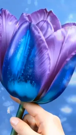 Electric Flower

