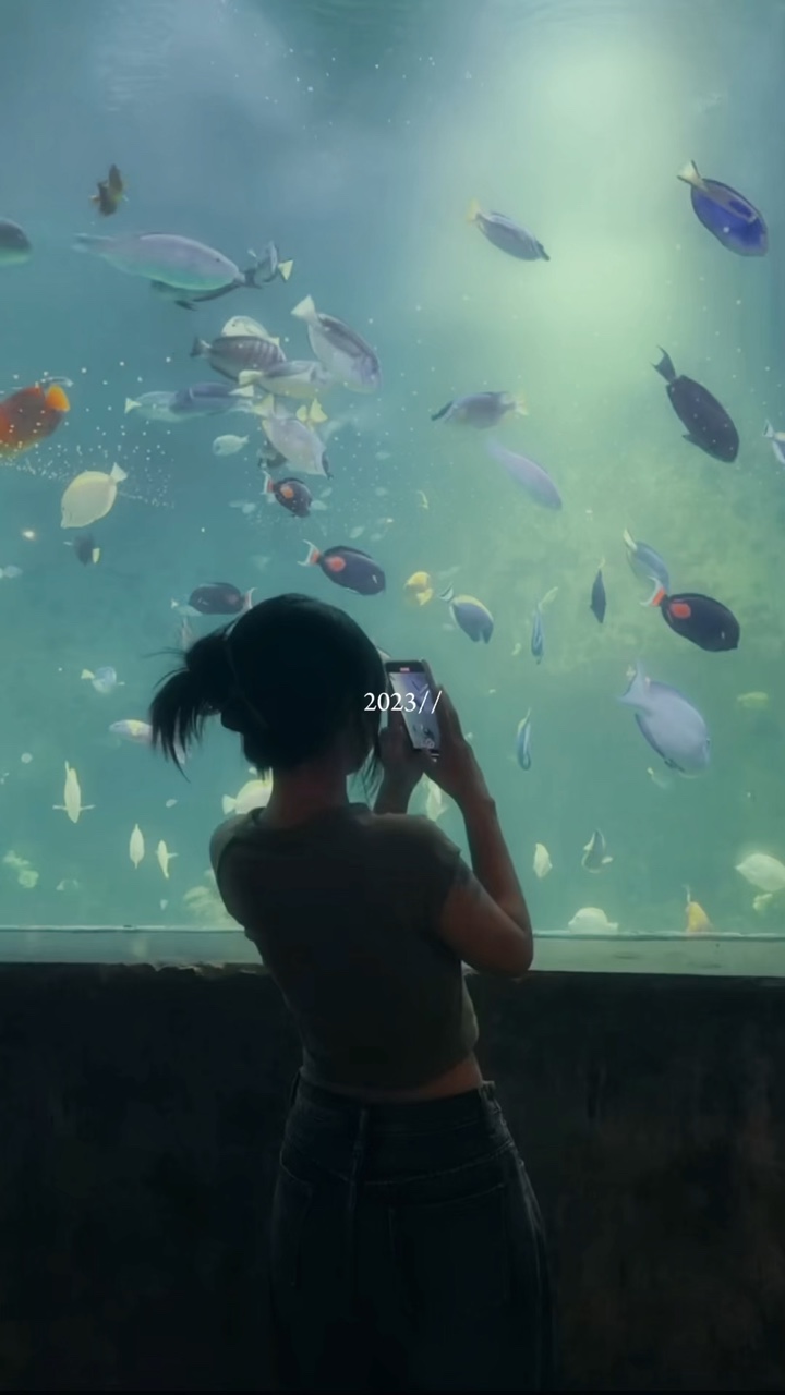 버전 70 foto