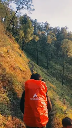 Vibes naik gunung