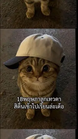 ลูกเทวดา#18พฤษภา
