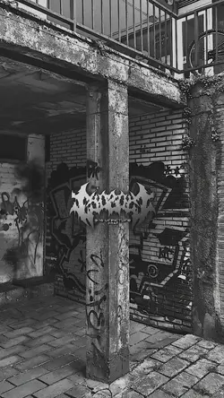 JJ RAISO NGAPUSI KAN