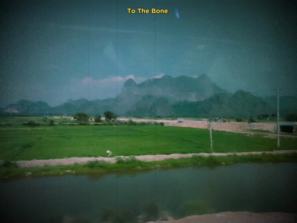 To The Bone