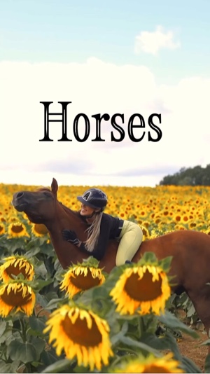 Belleza de los caballos