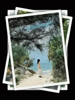 16PicFrame Aesthetic