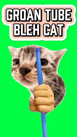 GROAN TUBE BLEH CAT
