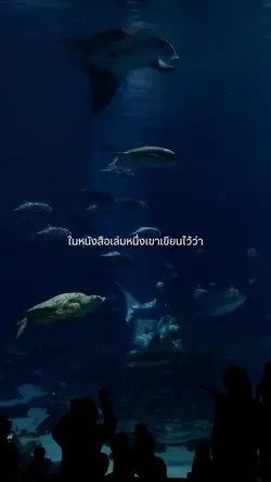 มีหนังสือเล่มหนึ่งเขียนไว้ว่า