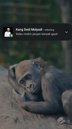 liburan ke bali