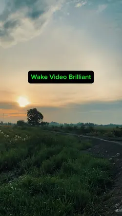 Wake Video Brilliant
