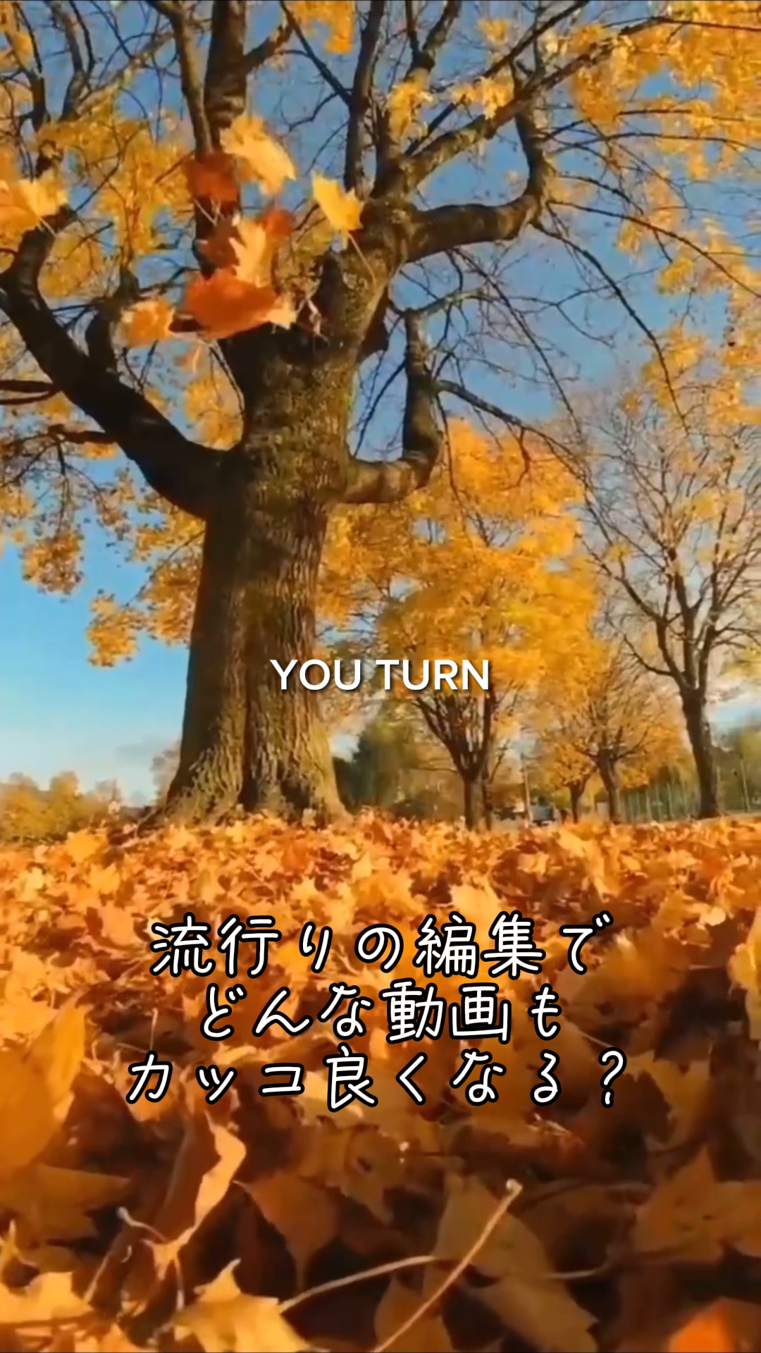 速度変換でカッコイイ良く✨