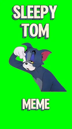 Sleepy Tom Meme