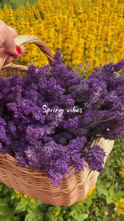 Spring day