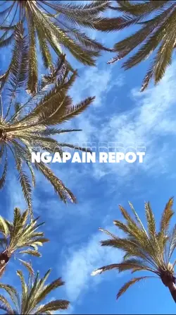 Ngapain Repot