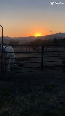 Sunrises 😻😻😻