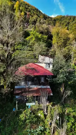 kalem çektim üstüne