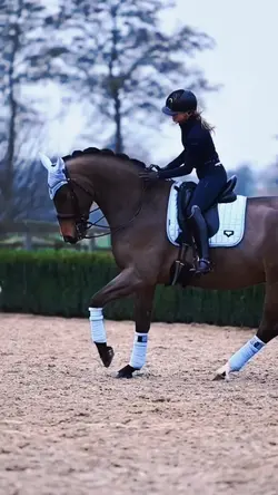 Dressage