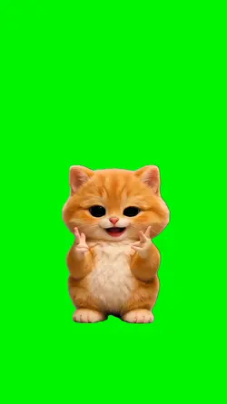 Commando Kitten