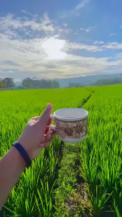 1 video filter cerah