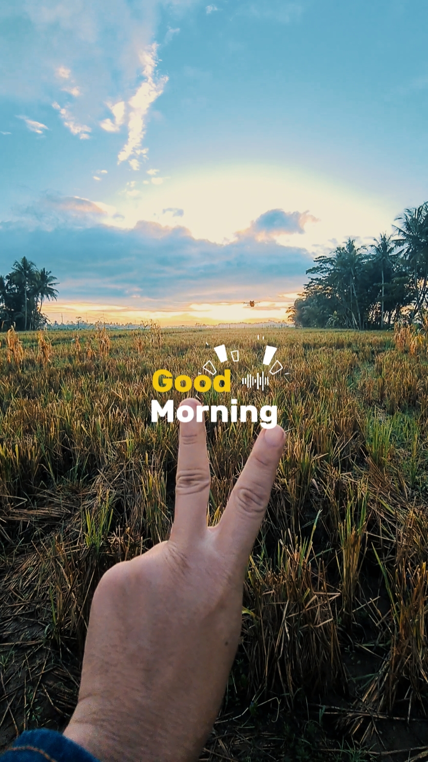 Good Morning
