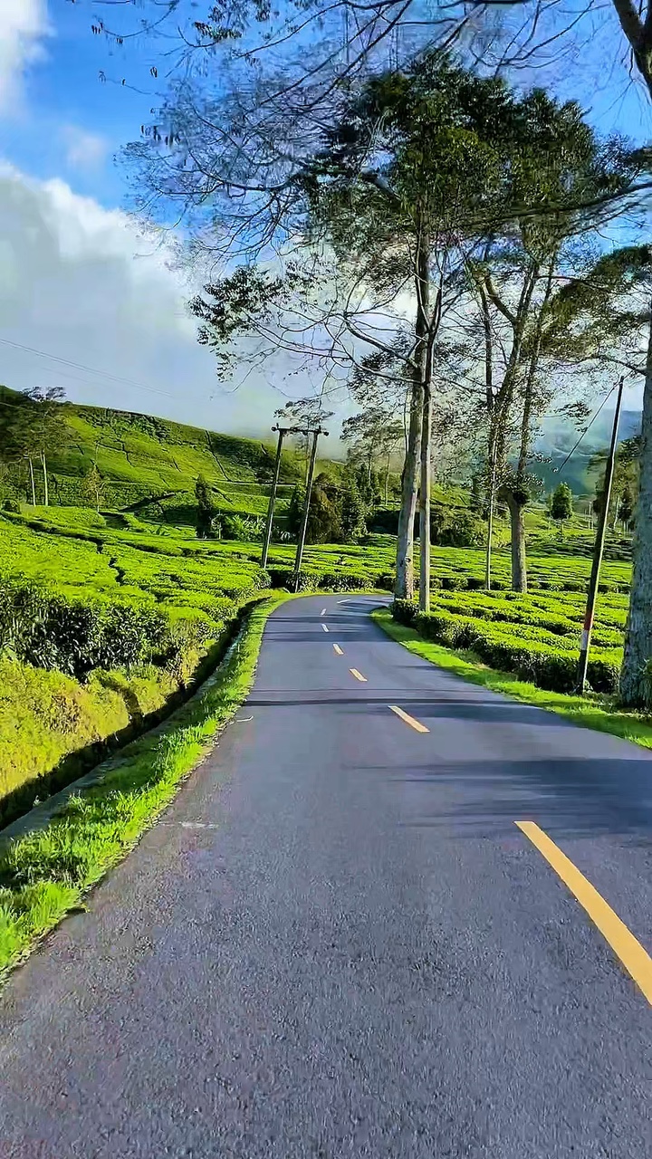 6 clips travel road 