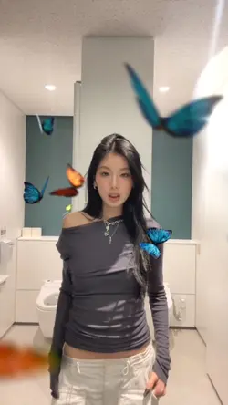 butterflies