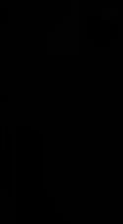 Vídeo e Fotos