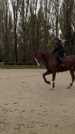 vitamina😻not me 18+‼️