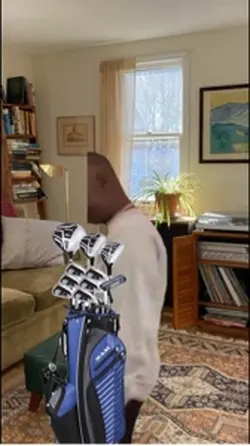 Sneak to golf