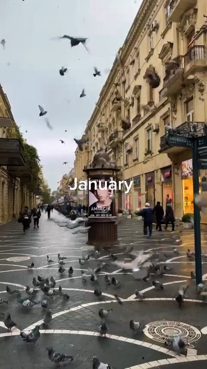 Janeiro Dezembro 
