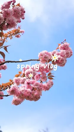 SPRING VLOG
