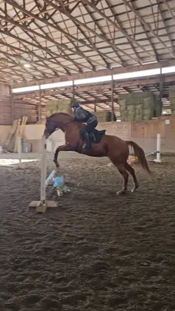 my strange addiction