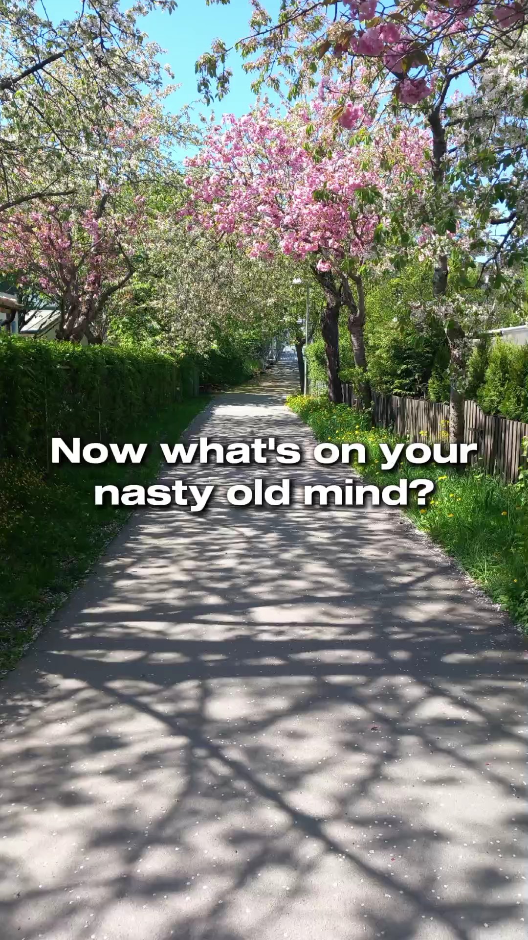 OML YAYYY TYSM GUYS!